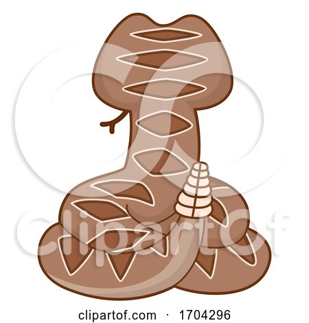 Rattle Snake Back View Illustration by BNP Design Studio