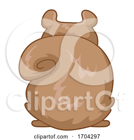 Squirrel Back View Illustration by BNP Design Studio