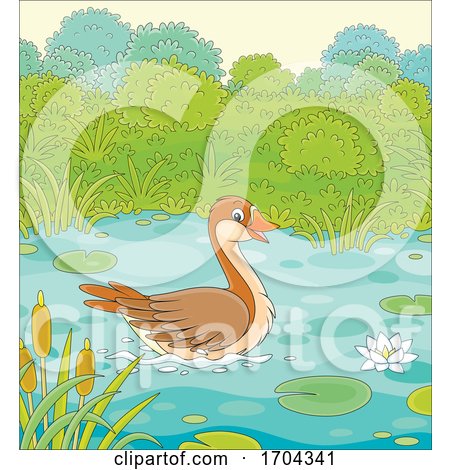 Wild Goose on a Pond by Alex Bannykh