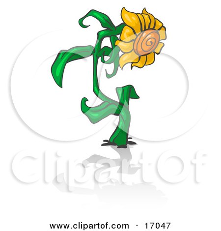 Giant Yellow Sunflower With Golden Yellow Petals And An Orange Center, Growing On A Thick Green Stalk In A Garden Clipart Illustration by Leo Blanchette