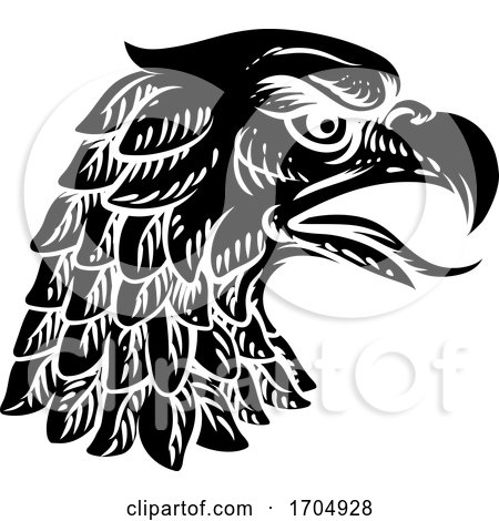 Eagle Falcon Hawk or Phoenix Head Face Mascot by AtStockIllustration