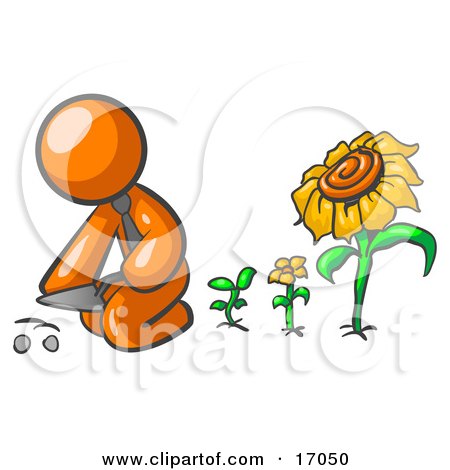 Orange Man Kneeling By Growing Sunflowers To Plant Seeds In A Dirt Hole In A Garden Clipart Illustration by Leo Blanchette