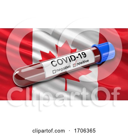 Flag of Canada Waving in the Wind with a Positive Covid 19 Blood Test Tube by stockillustrations