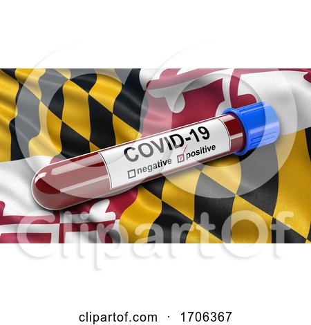 US State Flag of Maryland Waving in the Wind with a Positive Covid 19 Blood Test Tube by stockillustrations