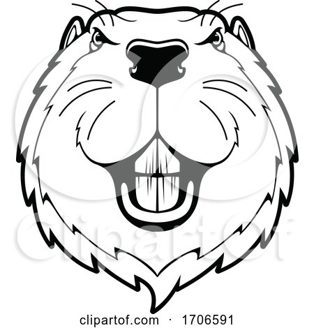 Tough Beaver Mascot by Vector Tradition SM