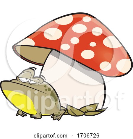 Cartoon Toad Under a Mushroom by toonaday