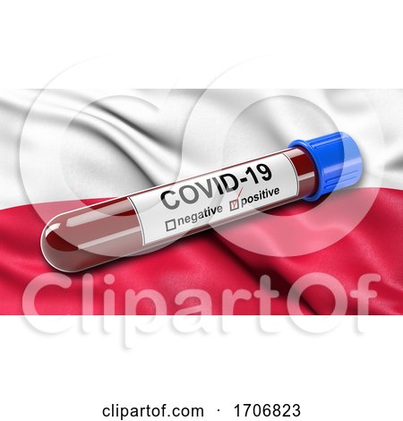 Flag of Poland Waving in the Wind with a Positive Covid 19 Blood Test Tube  by stockillustrations