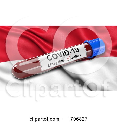 Flag of Indonesia Waving in the Wind with a Positive Covid 19 Blood Test Tube  by stockillustrations