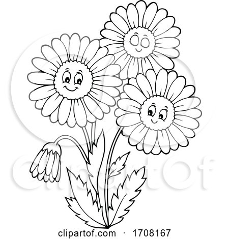 Black and White Daisy Flowers by visekart