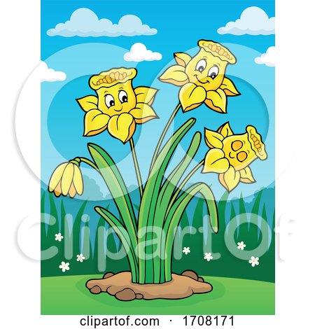 Daffodil Flowers by visekart