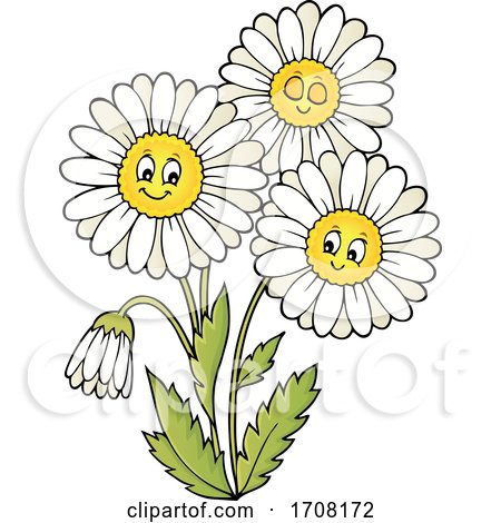 Daisy Flowers by visekart