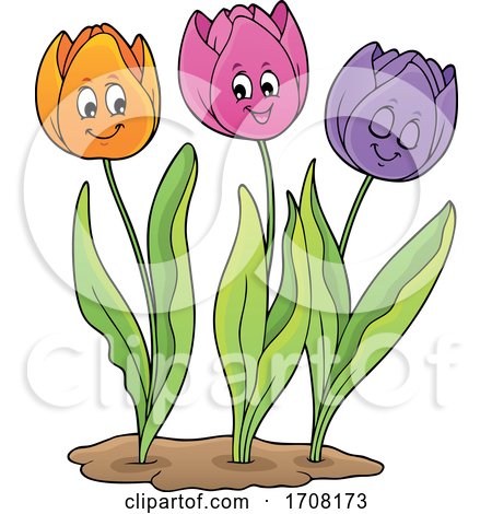 Tulip Flowers by visekart