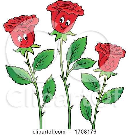 Rose Flowers by visekart