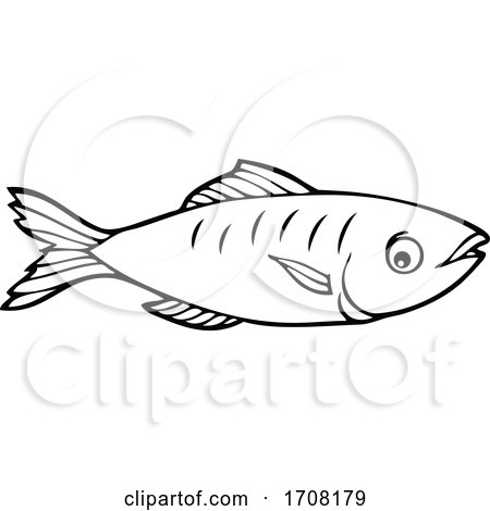 Sardine Fish by visekart