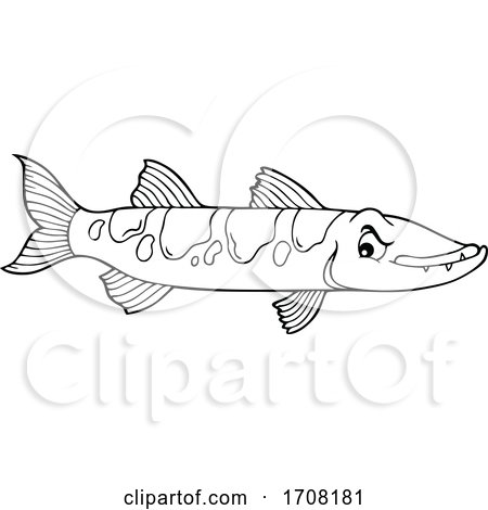 Barracuda Fish by visekart