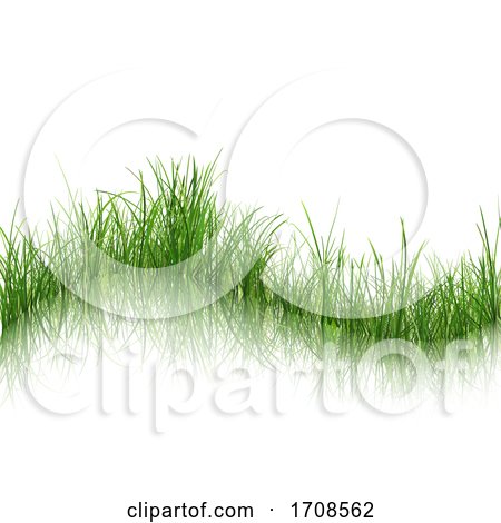 Grassy Background on White by dero