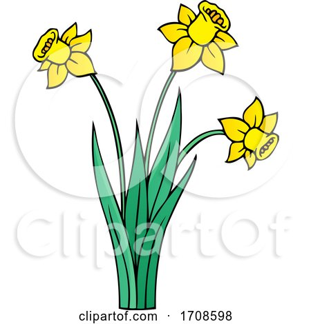 Spring Daffodil Flowers by visekart