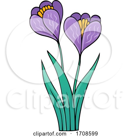 Spring Crocus Flowers by visekart