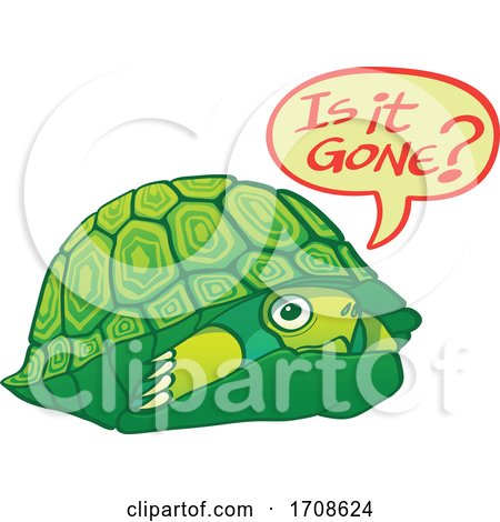 Scared Turtle Asking if Its Gone so It Can Come out of Its Shell by Zooco
