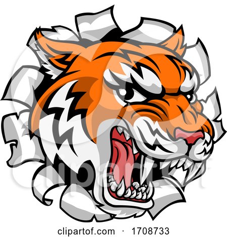 Tiger Mascot Head Breaking Through a Wall by AtStockIllustration