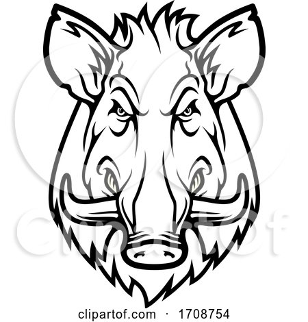 Black and WHite Tough Boar Mascot by Vector Tradition SM