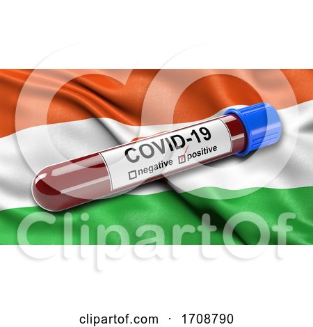 Flag of Niger Waving in the Wind with a Positive Covid19 Blood Test Tube by stockillustrations