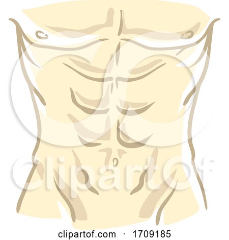 Body Torso Man Nude Illustration by BNP Design Studio