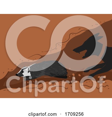 Badger Persecution Wildlife Crime Illustration by BNP Design Studio