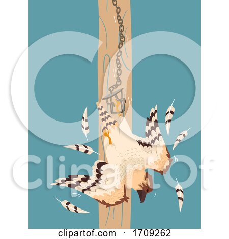 Birds of Prey Trap Wild Crime Illustration by BNP Design Studio