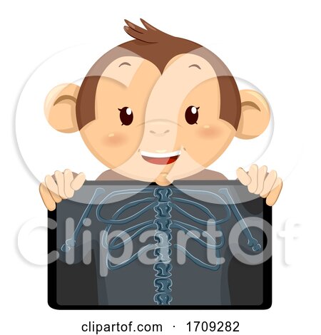 Monkey Mascot Xray Illustration by BNP Design Studio