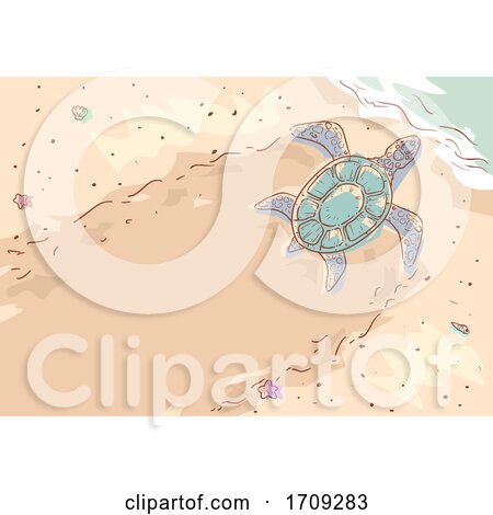 Sea Turtle Beach Sand Illustration by BNP Design Studio