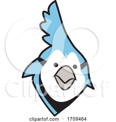 Blue Jays Bird School Mascot Face by Johnny Sajem