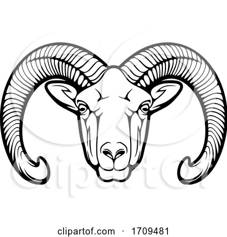 Black and White Mouflon Sheep by Vector Tradition SM
