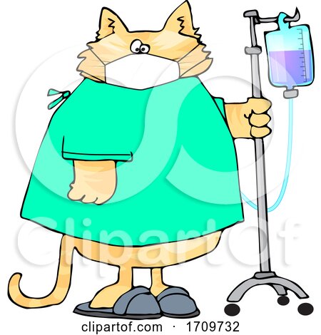Cartoon Sick Cat Wearing a Hospital and Walking with IV Fluids in a Hospital by djart