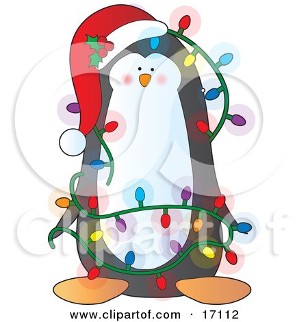 Adorable Black And White Penguin Bird Wearing A Santa Hat Adorned With Holly And Berries, Tangled In A Mess Of Colorful Christmas Lights Clipart Illustration by Maria Bell