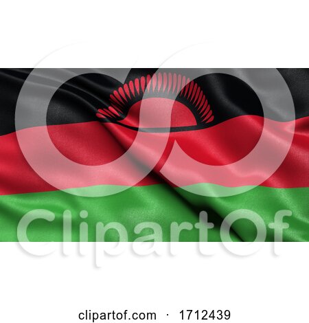 3D Illustration of the Flag of Malawi Waving in the Wind by stockillustrations
