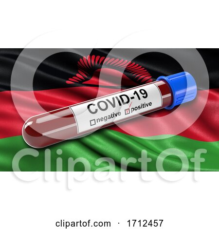Flag of Malawi Waving in the Wind with a Positive Covid 19 Blood Test Tube by stockillustrations