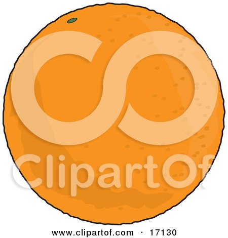 Plump and Perfectly Round Orange Clipart Illustration by Maria Bell