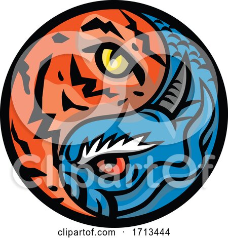 Dragon and Tiger Eye Inside Yin Yang Symbol by patrimonio