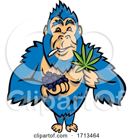 Blue Gorilla Holding a Bunch of Blueberry on One Hand and Cannabis Leaf on Other While Smoking a Joint by patrimonio