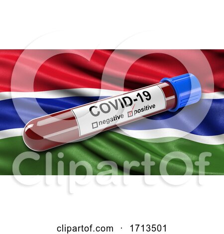 Flag of Gambia Waving in the Wind with a Positive Covid 19 Blood Test Tube by stockillustrations