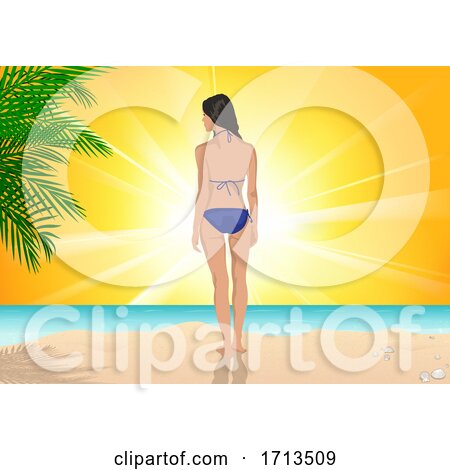 Rear View of a Woman on a Tropical Beach at Sunset by dero