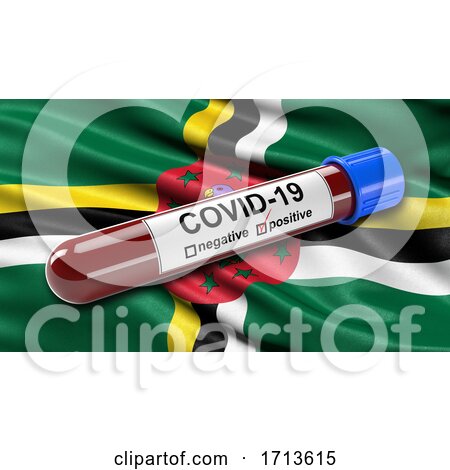 Flag of Dominca Waving in the Wind with a Positive Covid 19 Blood Test Tube by stockillustrations