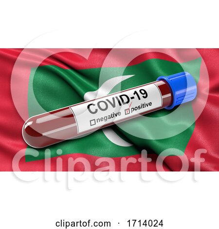 Flag of the Maldives Waving in the Wind with a Positive Covid 19 Blood Test Tube by stockillustrations