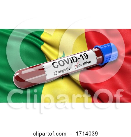 Flag of Senegal Waving in the Wind with a Positive Covid 19 Blood Test Tube by stockillustrations