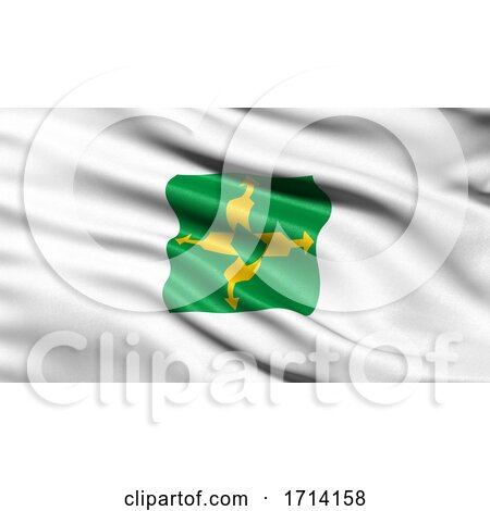 3D Illustration of the Brazilian State Flag of Distrito Federal Waving in the Wind by stockillustrations