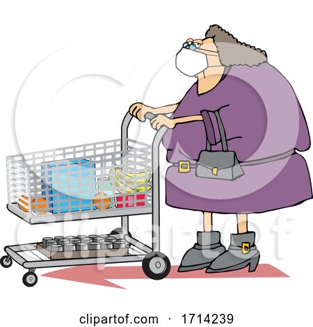 Cartoon Chubby Woman Wearing a Mask and Grocery Shopping by djart