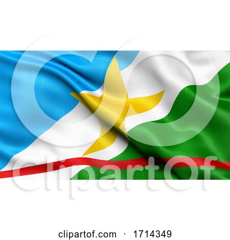 3D Illustration of the Brazilian State Flag of Roraima Waving in the Wind by stockillustrations