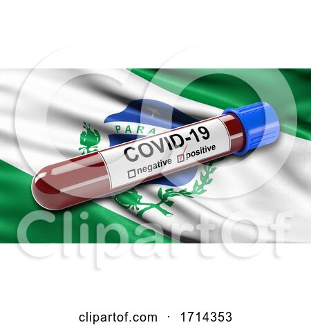 Brazilian State Flag of Parana Waving in the Wind with a Positive Covid 19 Blood Test Tube by stockillustrations