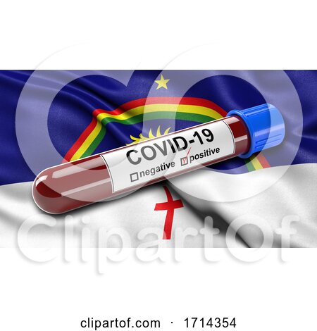 Brazilian State Flag of Pernambuco Waving in the Wind with a Positive Covid 19 Blood Test Tube by stockillustrations